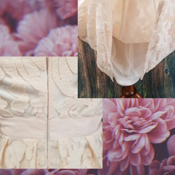 Maggie London Blush Lace & Mesh Midi - Picture 4 of 7